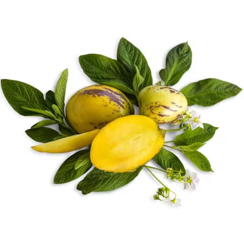 Pepino Melon striped fruit