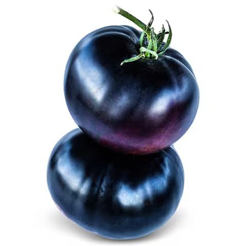 Black Beauty - Image 1