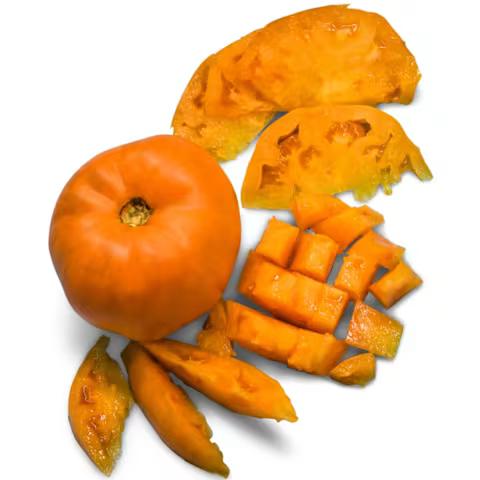 Dr. Wyche's Yellow - Image 1